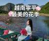 寧平最美的睡蓮季