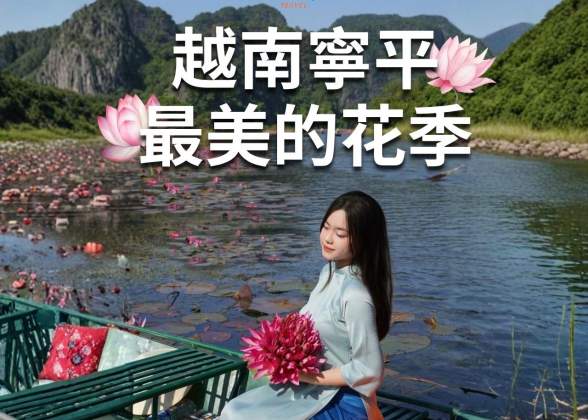 寧平最美的睡蓮季