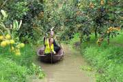 Mekong Delta 3 Days 2 Nights 