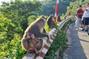 Marble Mountains – Monkey Mountain – Da Nang 