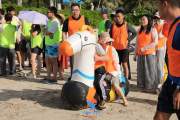 Ultimate Team Building Experience with Ánh Việt Travel