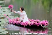 Ninh Binh Flower Season
